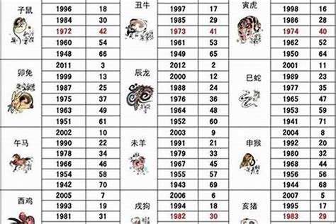 屬狗年份|屬狗年份｜2024年幾歲？屬狗出生年份+歲數一